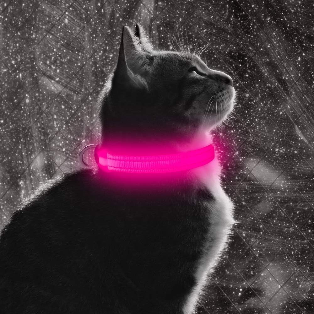 Light up Dog Collar, Rechargeable LED Cat Collar Glow in the Dark Puppy Collar Safety Dog Lights for Night Walking (Pink, XS)