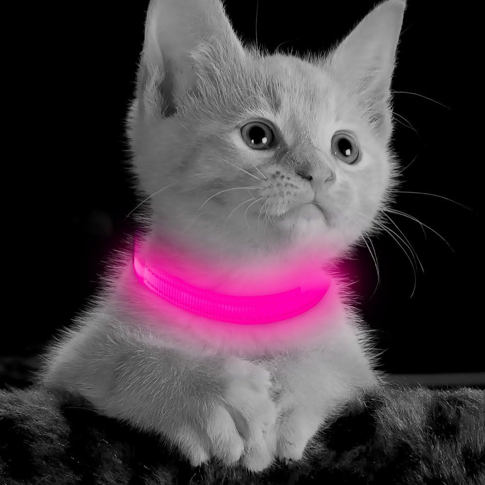 Light up Dog Collar, Rechargeable LED Cat Collar Glow in the Dark Puppy Collar Safety Dog Lights for Night Walking (Pink, XS)