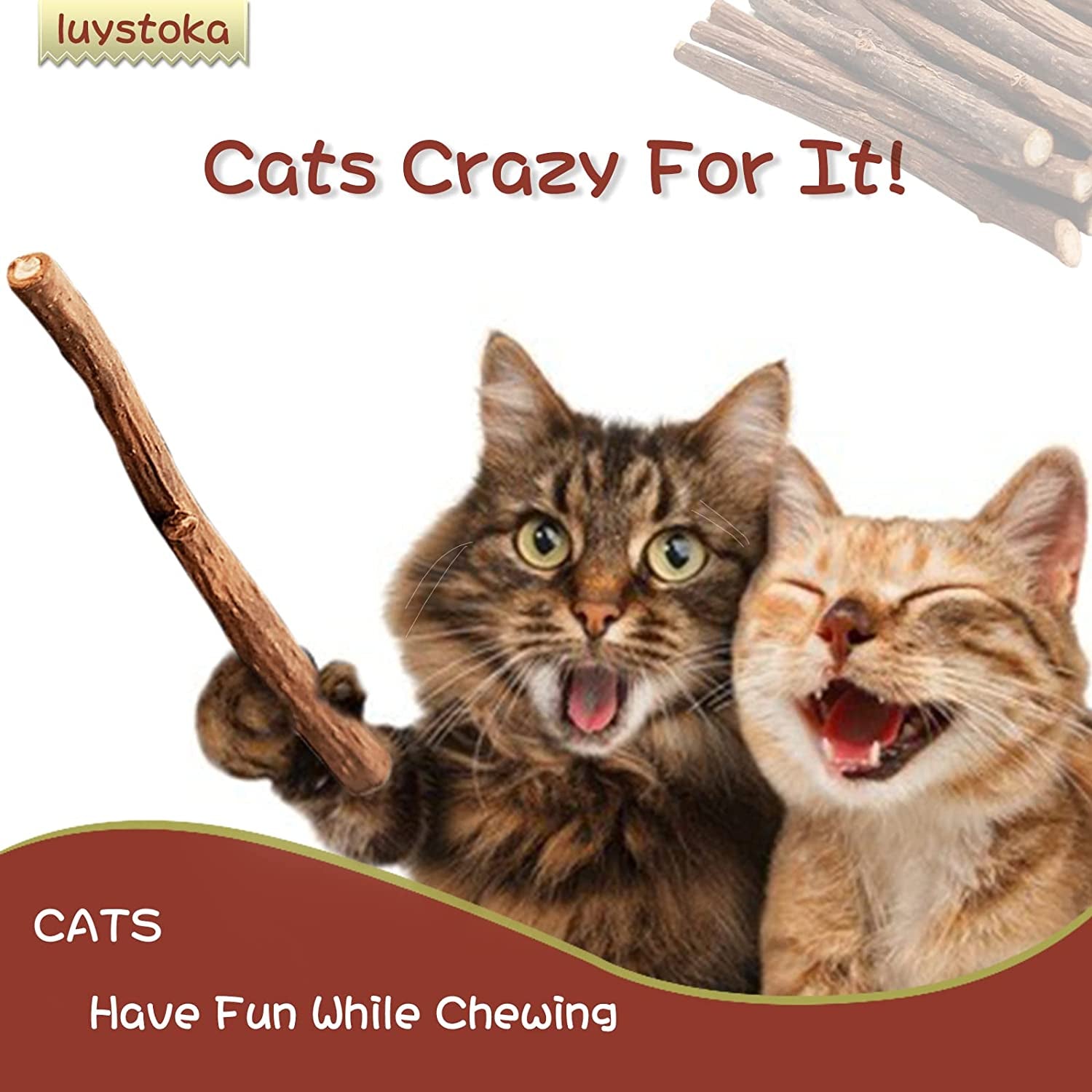 Cat Toys Silvervine for Cats Cat Chew Stick Catnip Toys Matatabi Silvervine Sticks Kitty Chew Toys for Indoor Cats Wooden Stick Kitten Teething Interactive Wand Toys for Bored Cats 10PCS