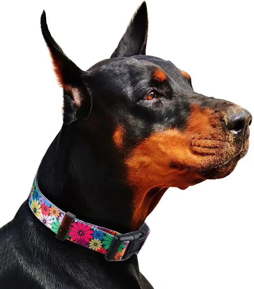 Dog Collar for Small Dogs Floral Pattern for Girl Boy Dogs Small